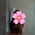 sexy pictures, nude photos, porn pics